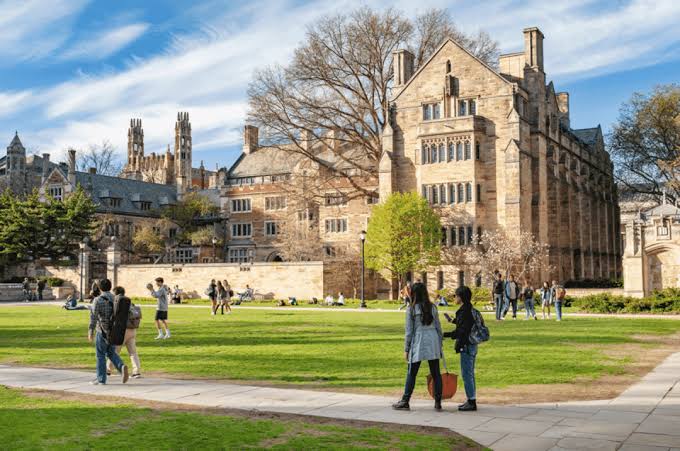 21 Best Law Schools with Scholarships in the World in 2023