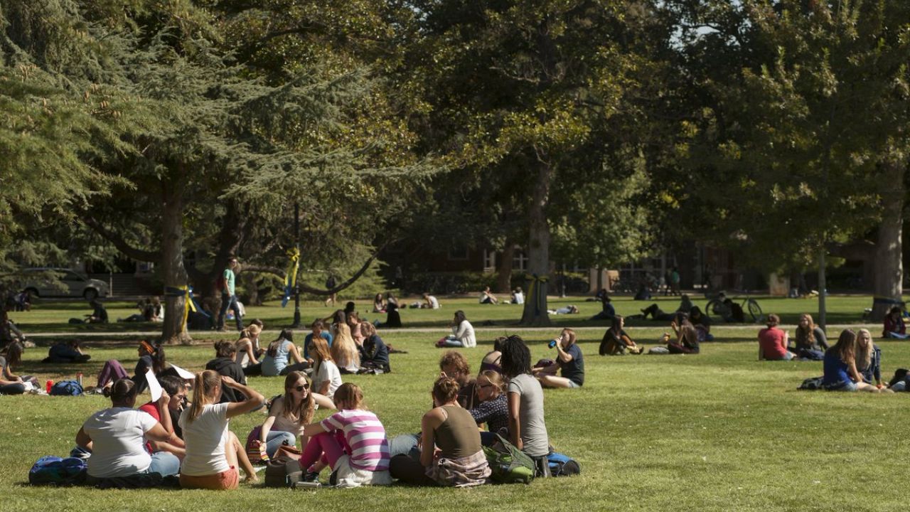 UC Davis School Review Acceptance Rate, Admission Rate, And Tuition Fees